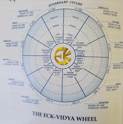 ECK-Vidya wheel